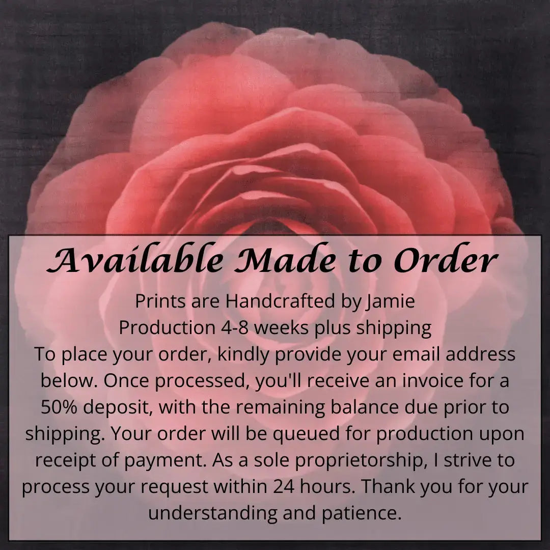 Flower art Print of Red Camellia with double blooming symmetrical velvety petals Centered in Square mode, centered on black background wall art