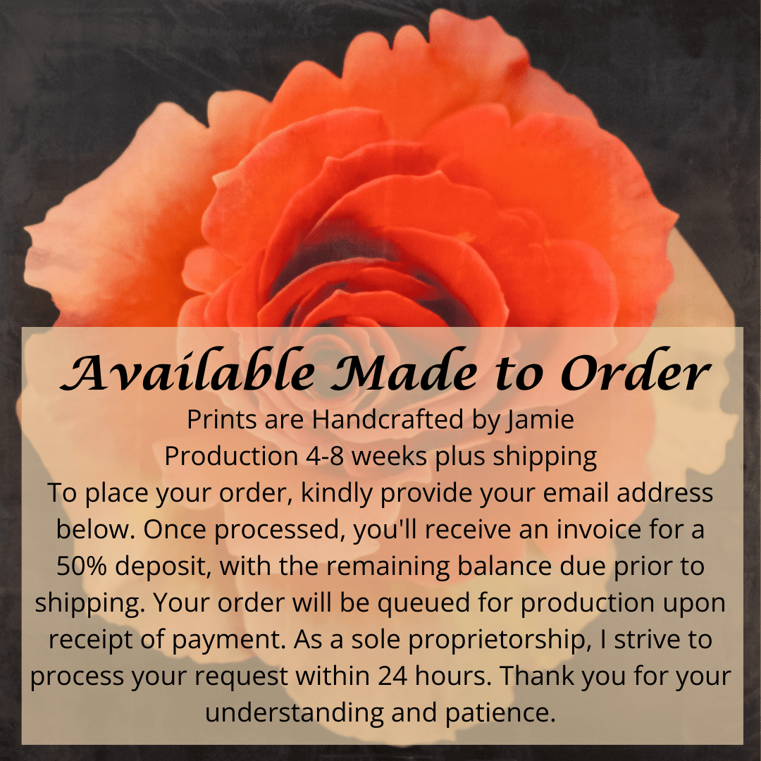 flower print of vibrant deep orange rose in prime bloom with spiral center surrounded by looser unfurling ruffled petals . Centered in Square mode, black background, wall art.