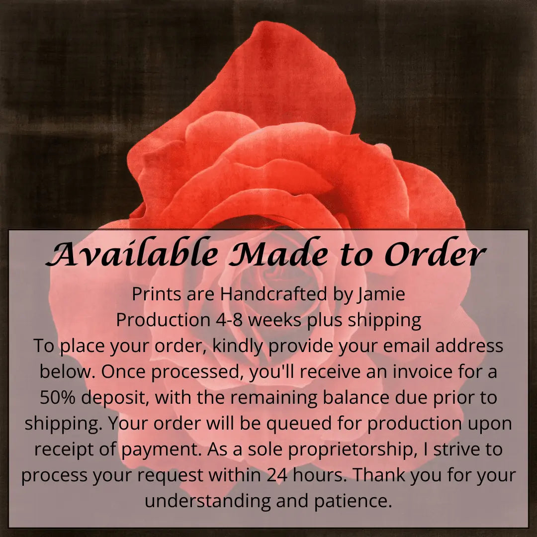 Print of Red Rose packed with spiral petals that recurve slightly to lend the blooms a pointed, starry silhouette Centered in Square mode, black background, wall art