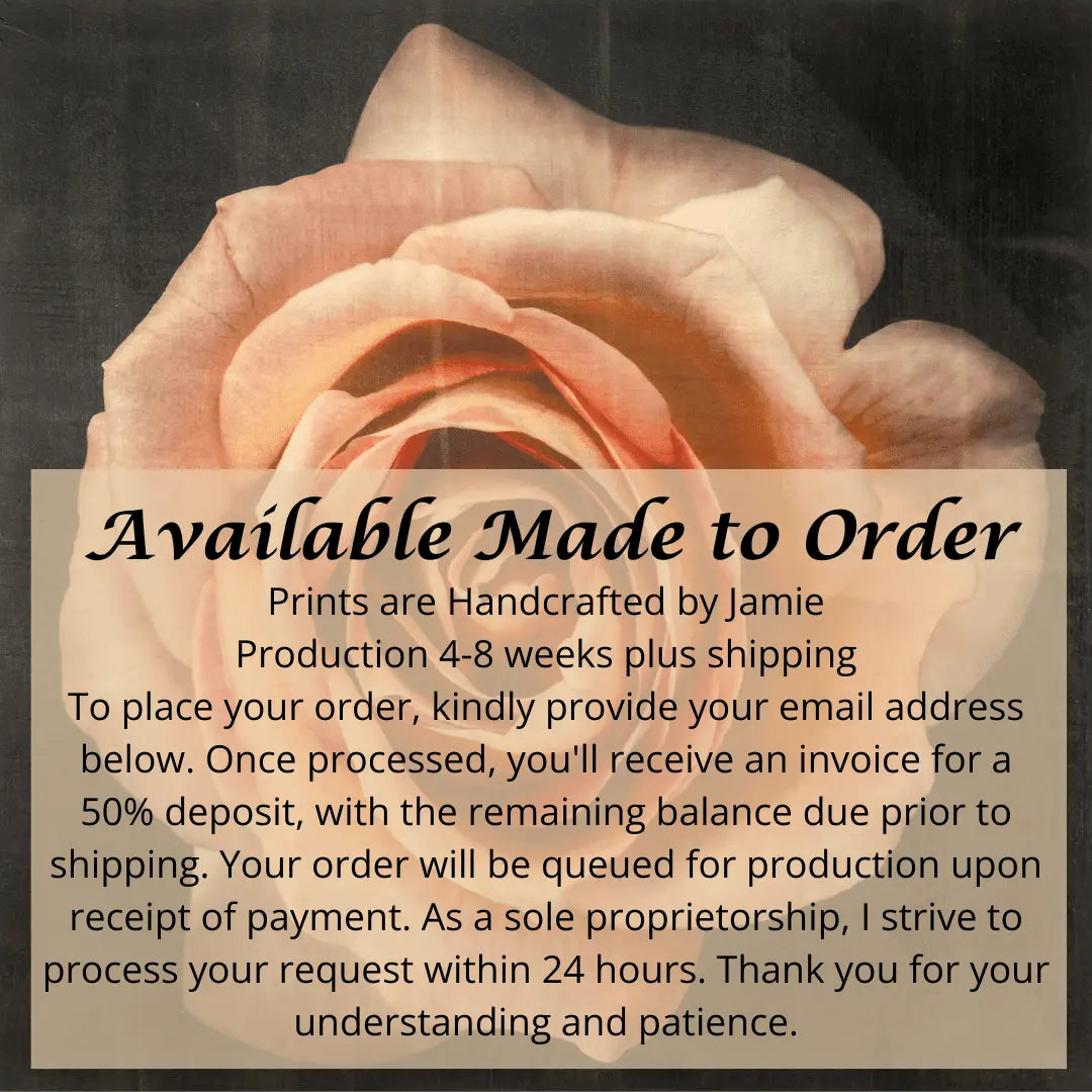 flower photograph print of orange rose floribunda rose in prime bloom with a spiral oval opening with golden highlights. Centered in Square mode, black background, wall art.