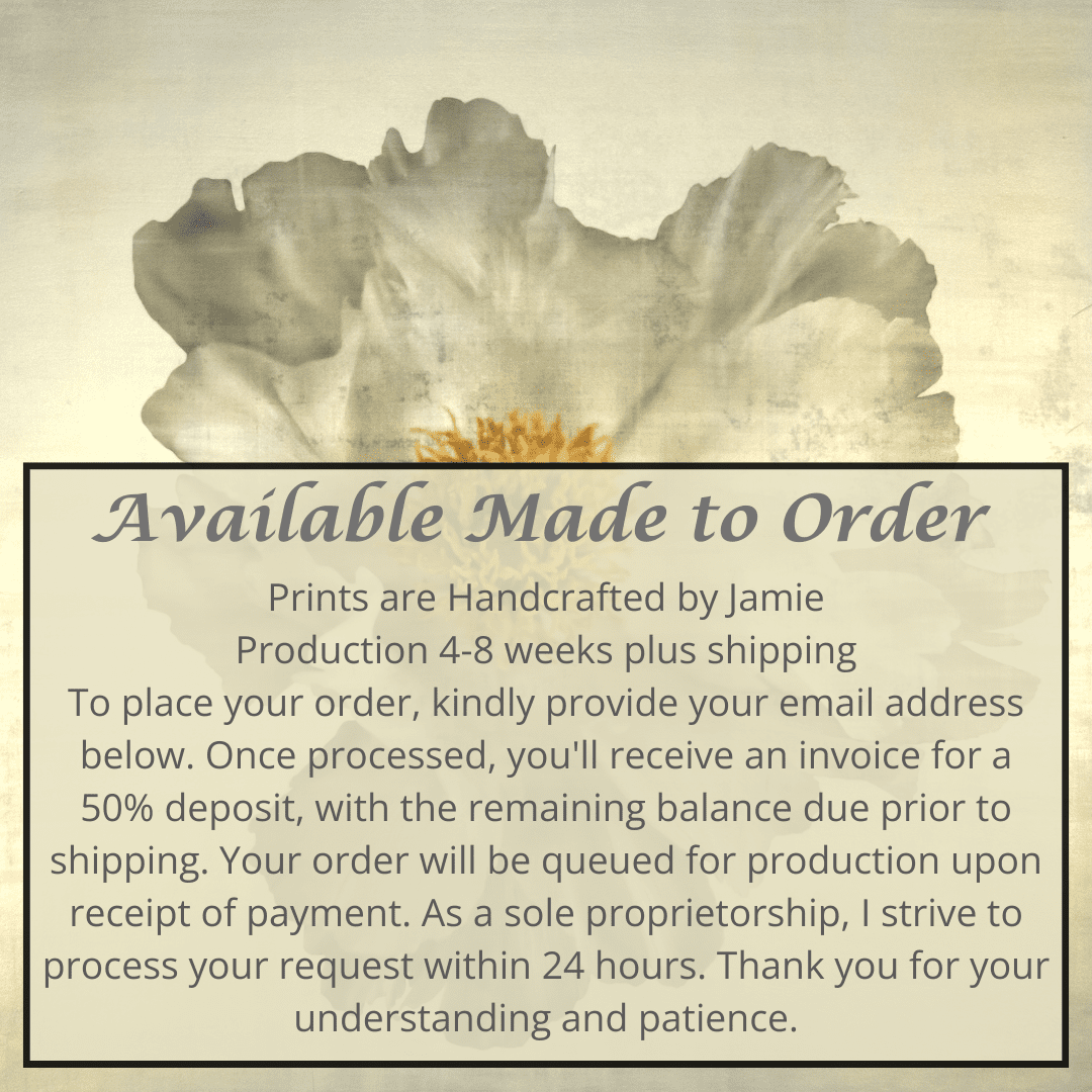 Flower Photograph Print of large White Peony with overlapping pure white petals giant open center with yellow stamen  Centered in Square mode, gold toned, wall art