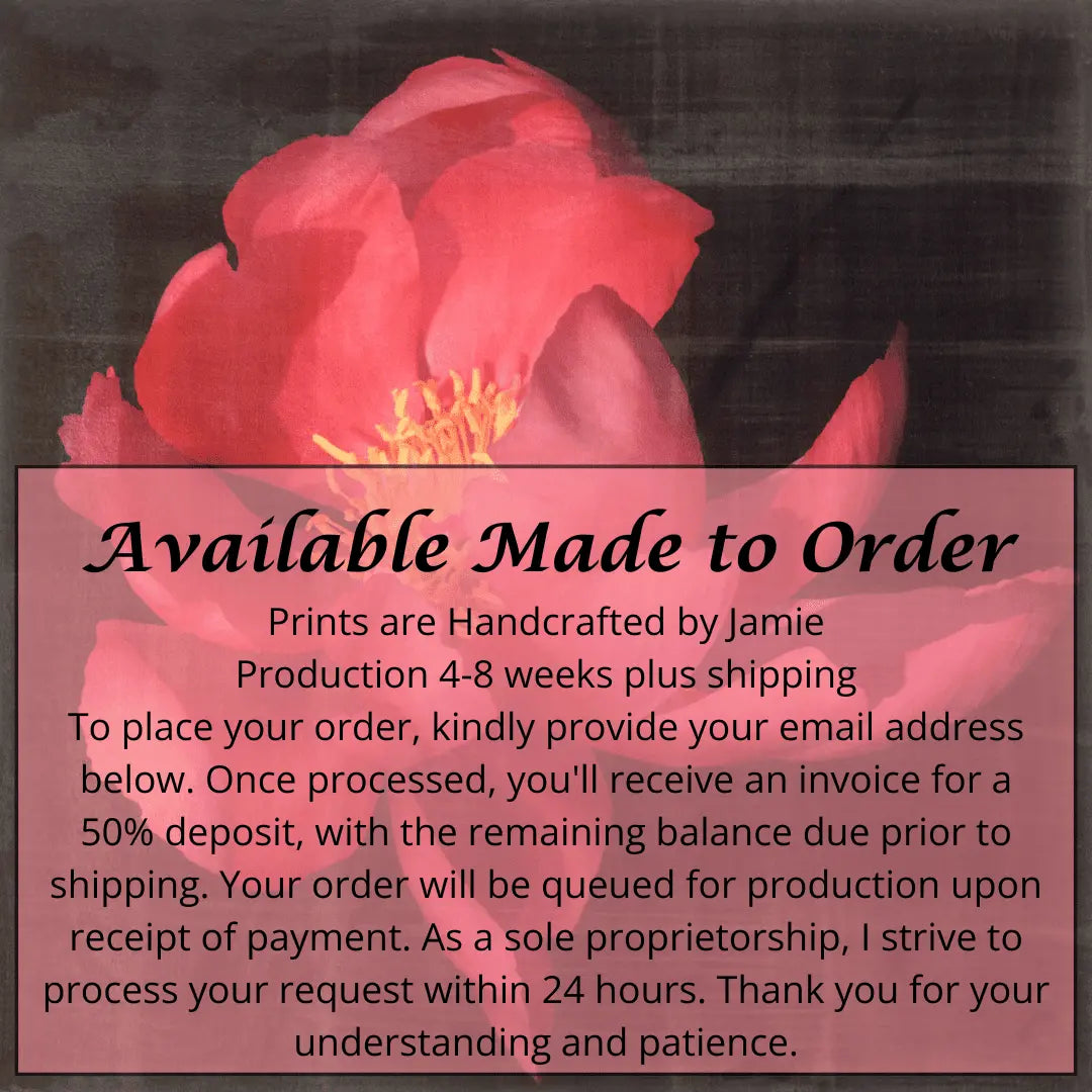 flower photograph print of blooming Flame dark pink peony with giant open scalloped petals and yellow stamen center. Centered in Square mode, black background, wall art