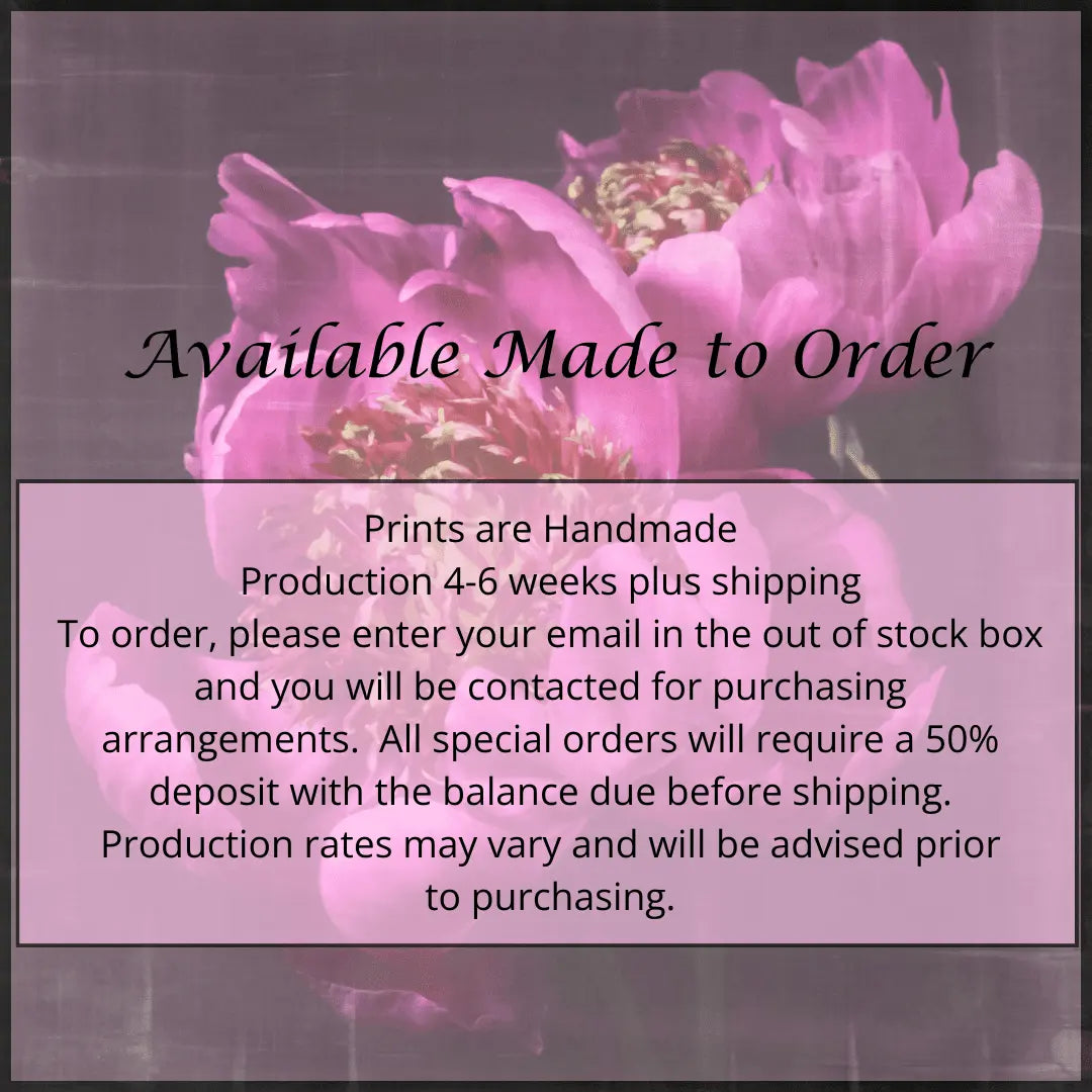 Flower Photograph print double pink peony anemone-flowering peony with pink guard petals surrounding a spiky center of lighter petaloids, edged in peach,Centered in Square mode,black background, wall art