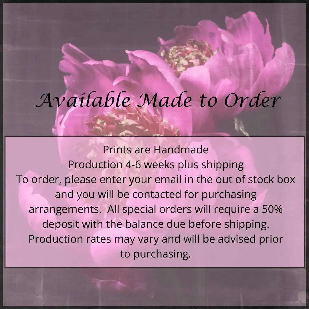 Flower Photograph print double pink peony anemone-flowering peony with pink guard petals surrounding a spiky center of lighter petaloids, edged in peach,Centered in Square mode,black background, wall art