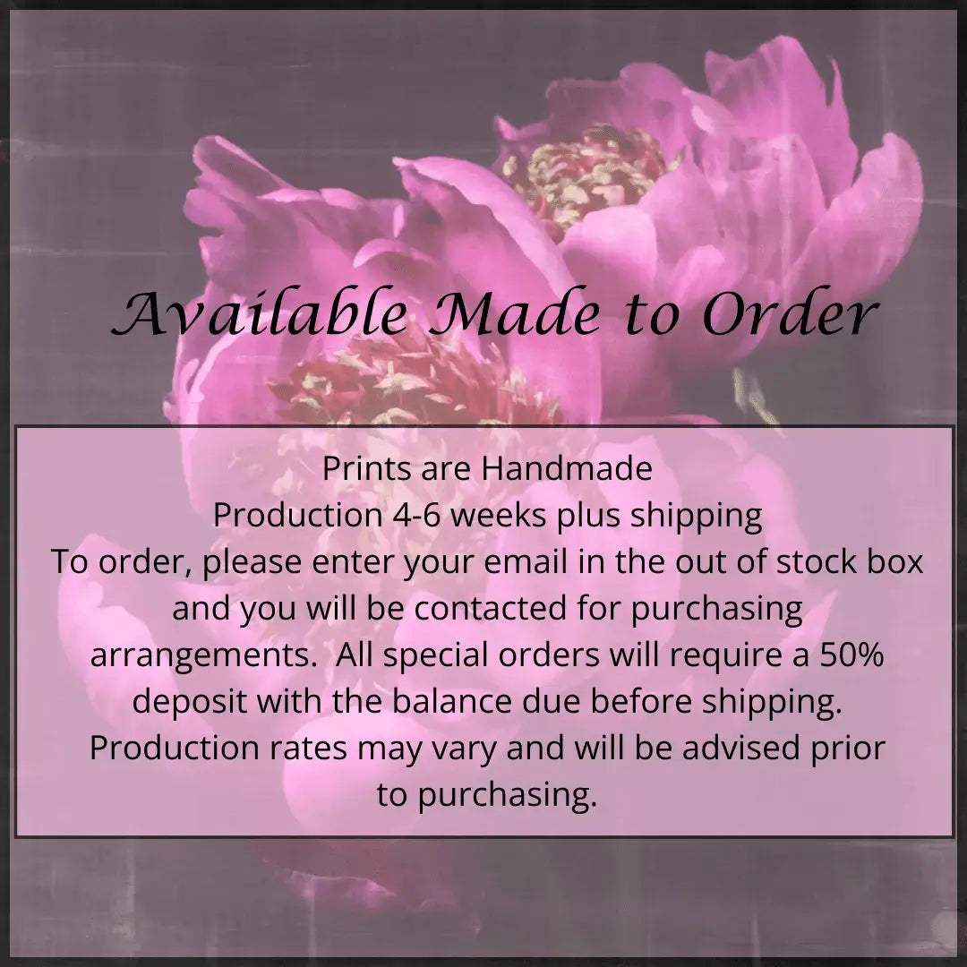 Flower Photograph print double pink peony anemone-flowering peony with pink guard petals surrounding a spiky center of lighter petaloids, edged in peach,Centered in Square mode,black background, wall art
