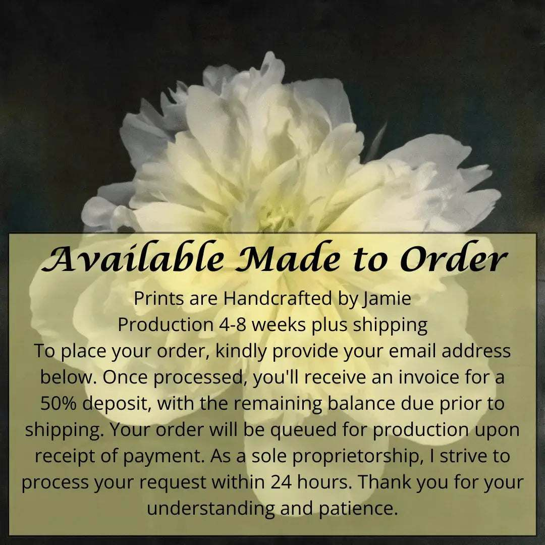 Handmade Fine Art Variable Edition Print of White Peony for sale on cotton paper deckle edge