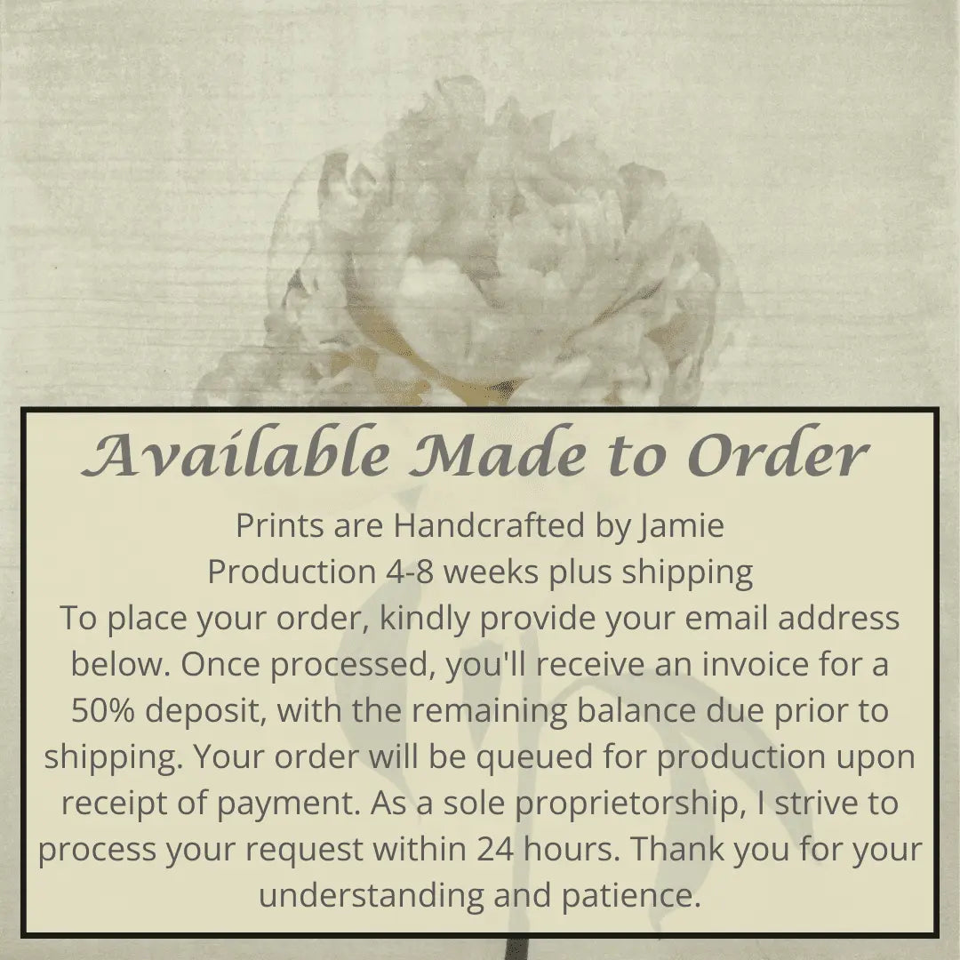 Flower Photograph Print White Peony Side view full bloom with yellow tint stem and leaves visible gold tinted, square