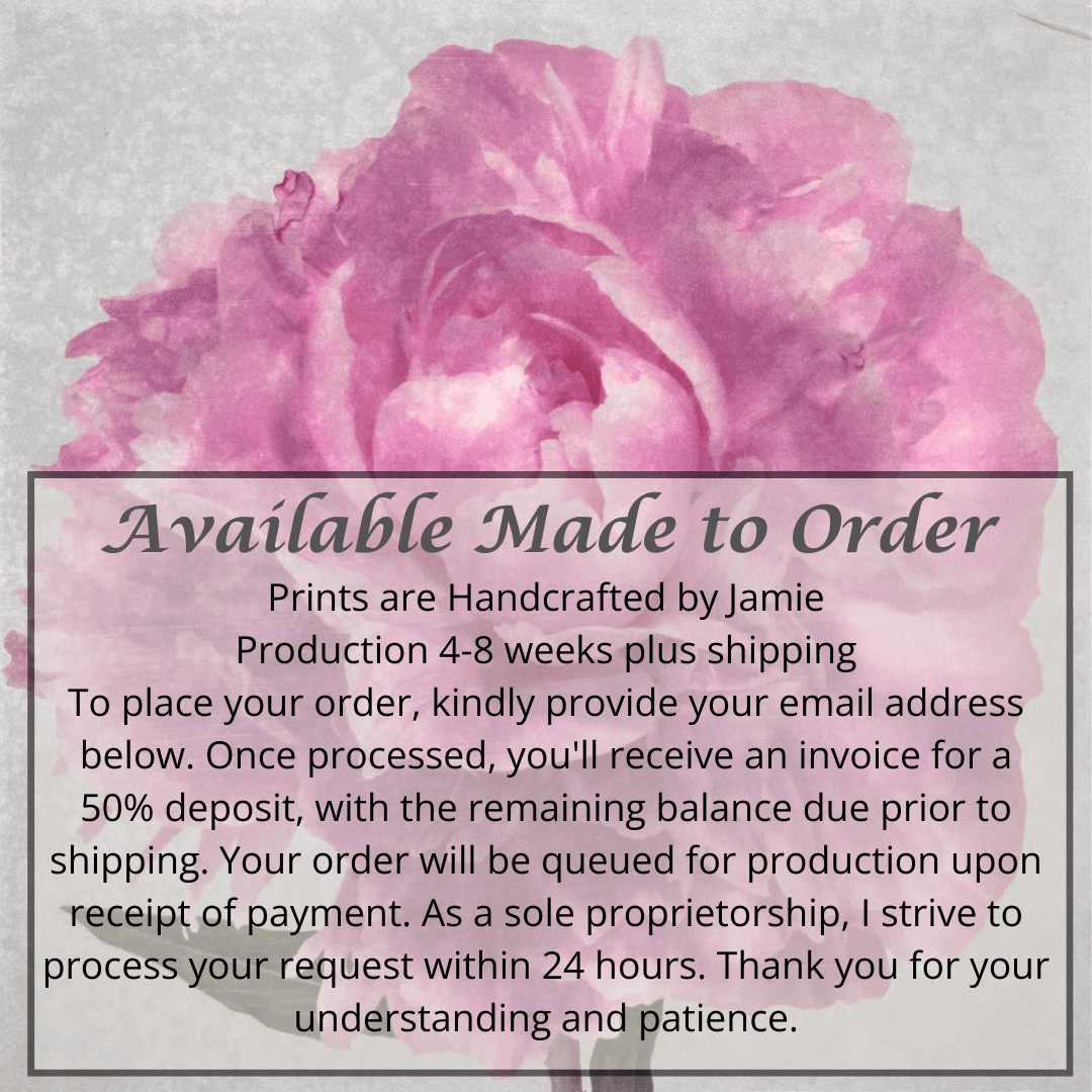 Photograph Print of Pink Peony for sale handcrafted from a photograph of a flower with delicate pink petals with silvery edges centered Square mode, grey background, wall art