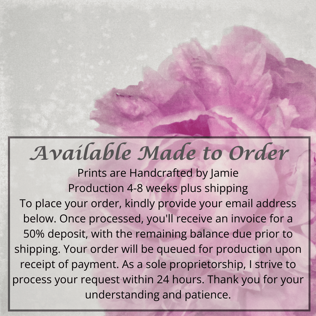 Print of Pink Peony for sale handcrafted from a photograph of a flower with delicate pink petals with silvery edges offset to right Square mode, grey background, wall art