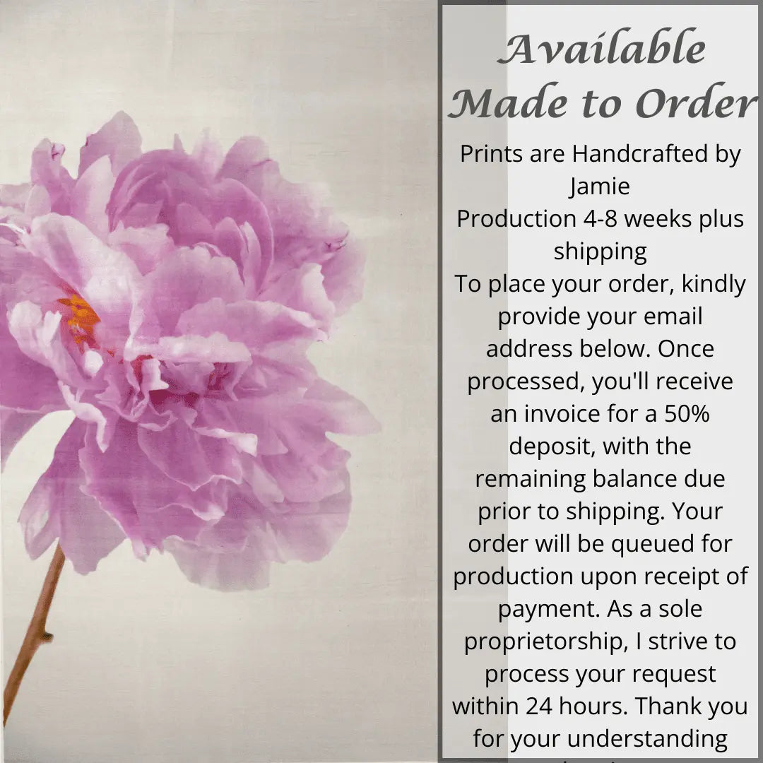 Print of Pink Peony for sale handcrafted from a photograph of a flower with delicate pink petals with silvery edges standing offset on the left, grey background, wall art