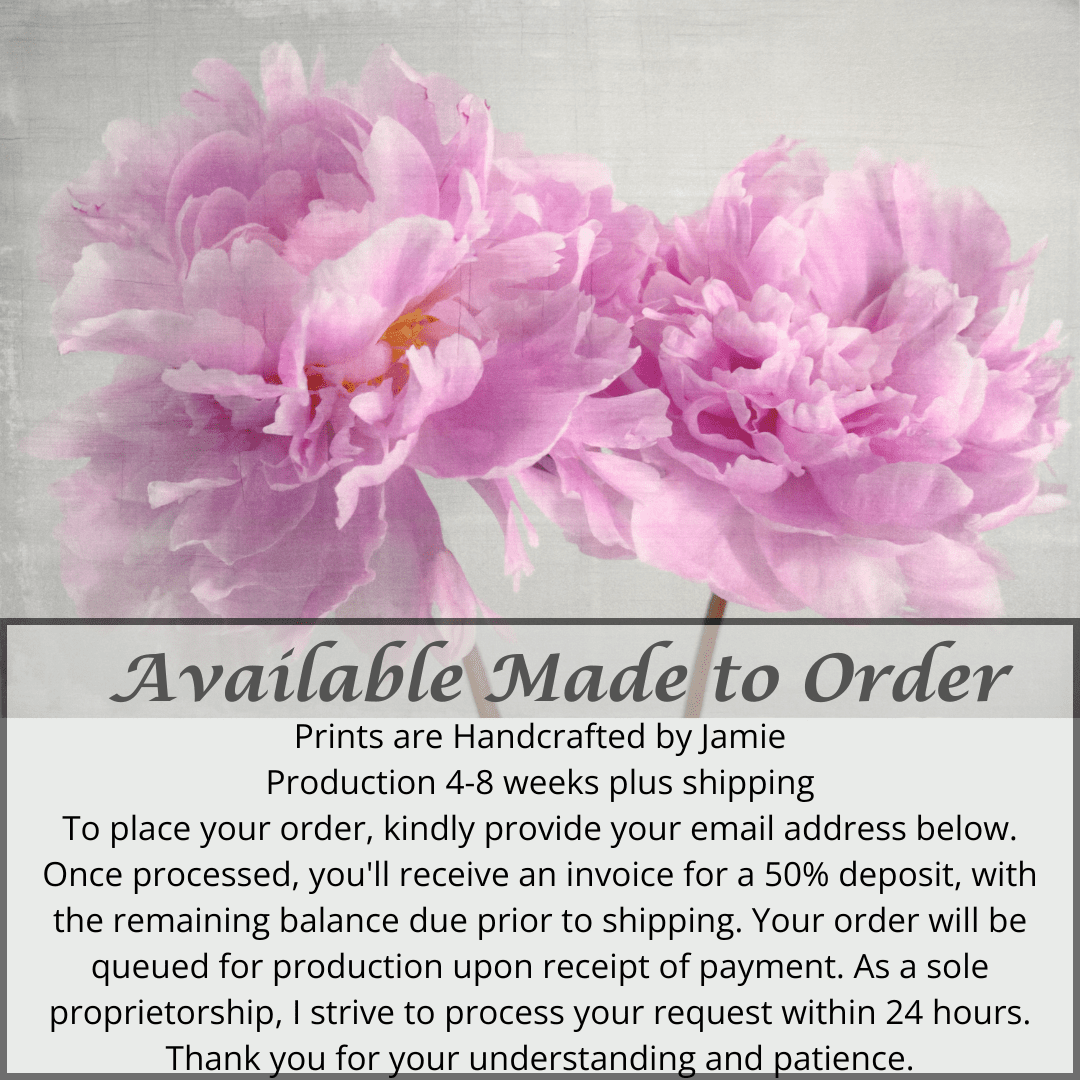 2 full bloom double pink peony  with yellow center one standing taller blooms both visible stems and leaves showing 36x24” cotton paper wall art