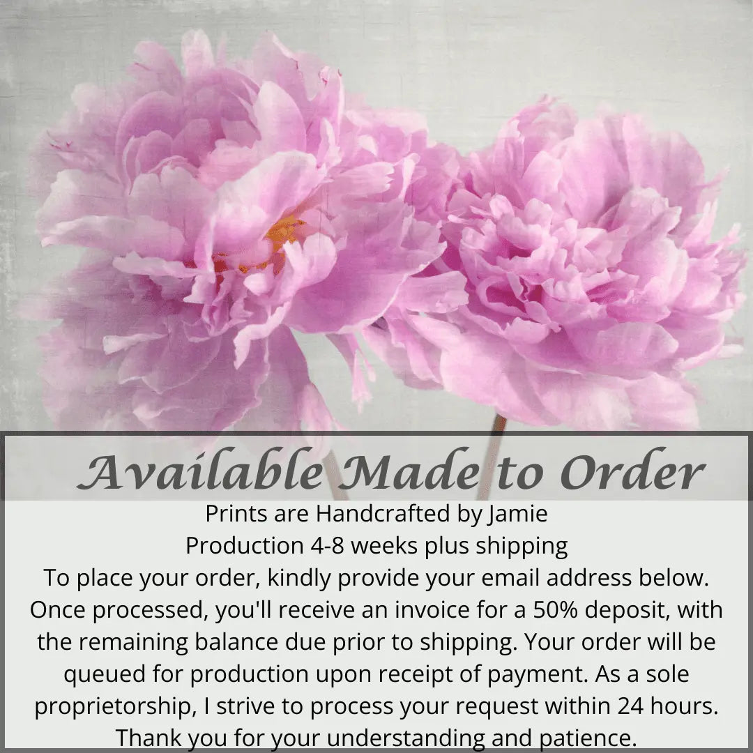 2 full bloom double pink peony with yellow center one standing taller blooms both visible stems and leaves showing 36x24” cotton paper wall art