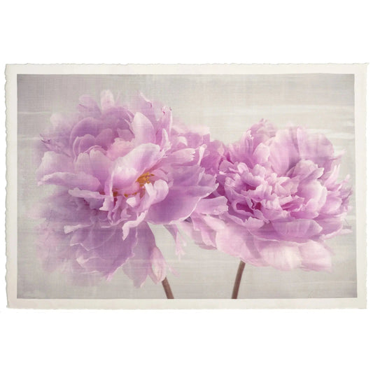 Double pink peony emulsion lift fine art print on white cotton paper with pearl iridescence and textured details