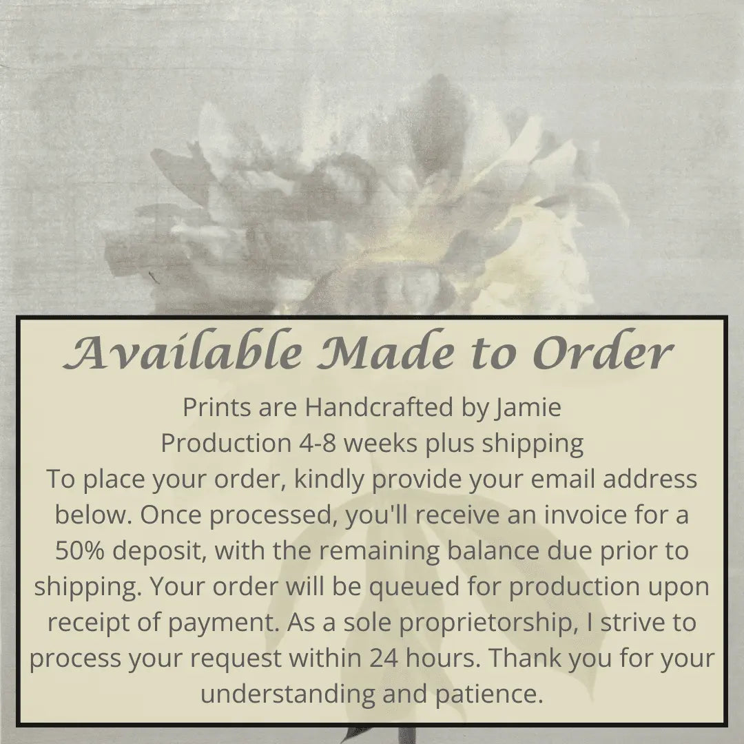 Flower Photograph White Peony Side view full billowy bloom with yellow center, stem and leaves visible pearl tinted, square