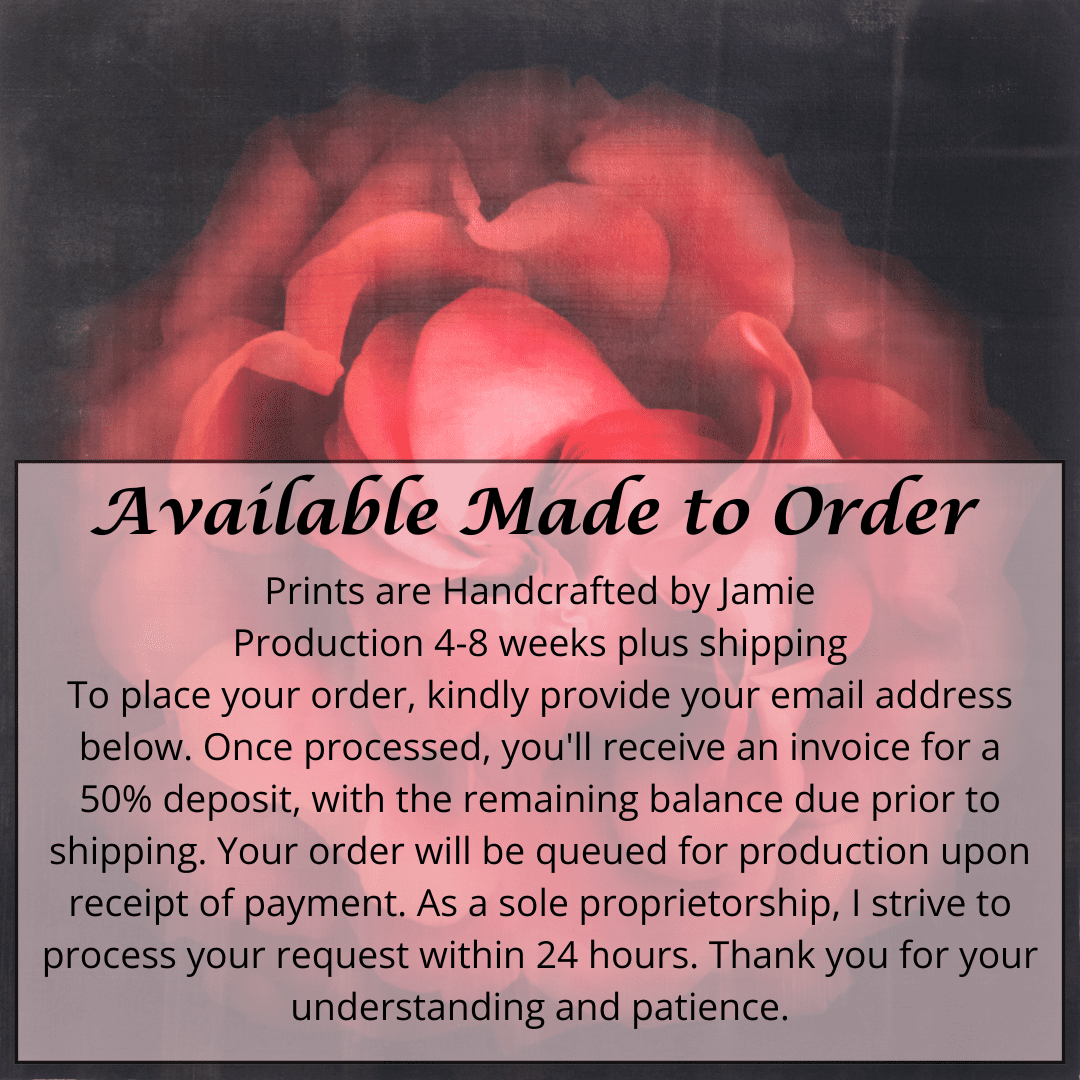 Flower Print of Red Rose spherical outer scalloped petals closed center petals forming spiral Centered in Square mode on black background wall art