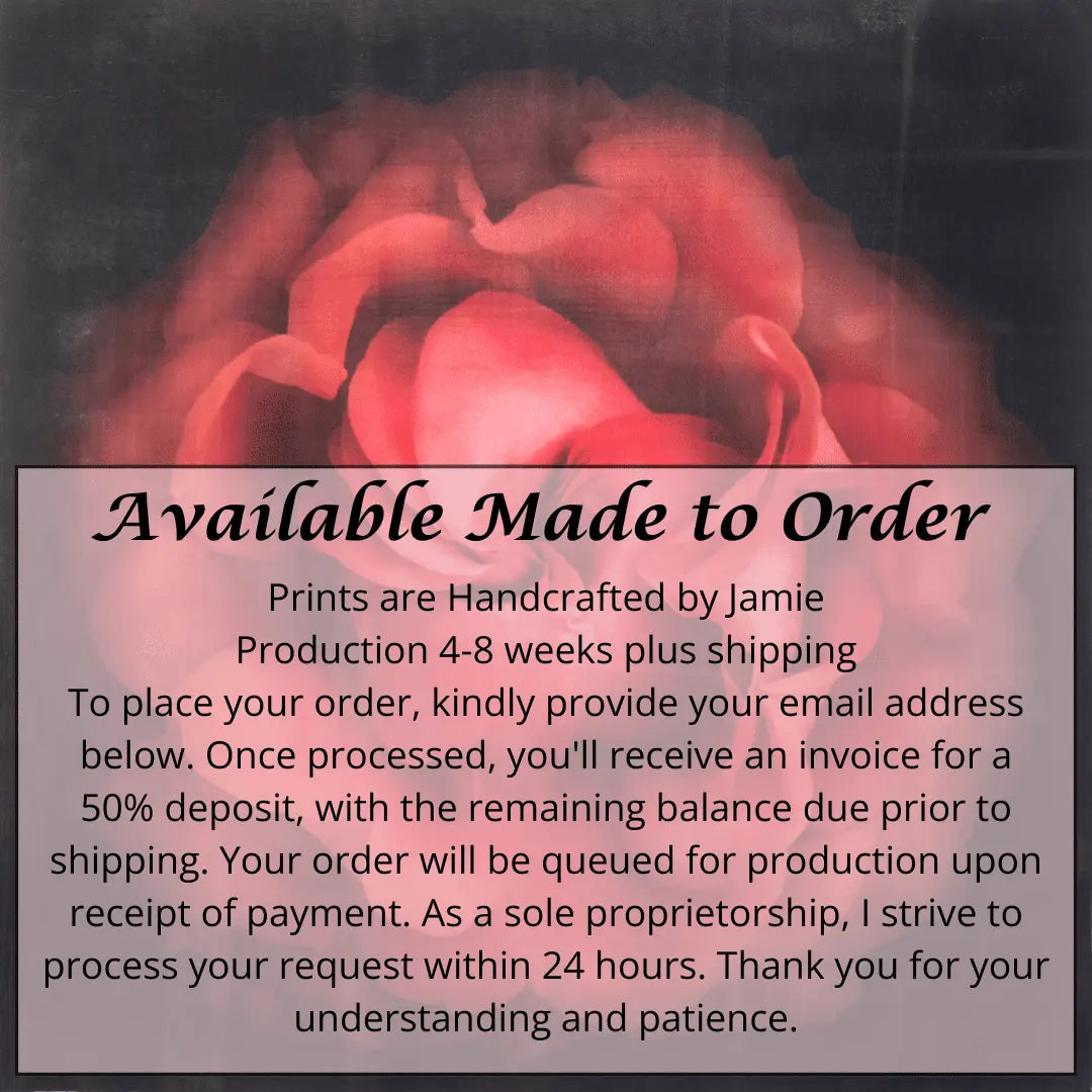 Flower Print of Red Rose spherical outer scalloped petals closed center petals forming spiral Centered in Square mode on black background wall art