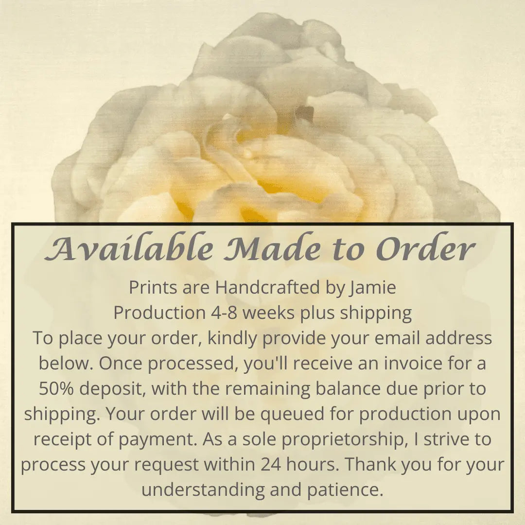 Yellow Rose in White Jamie Buzill