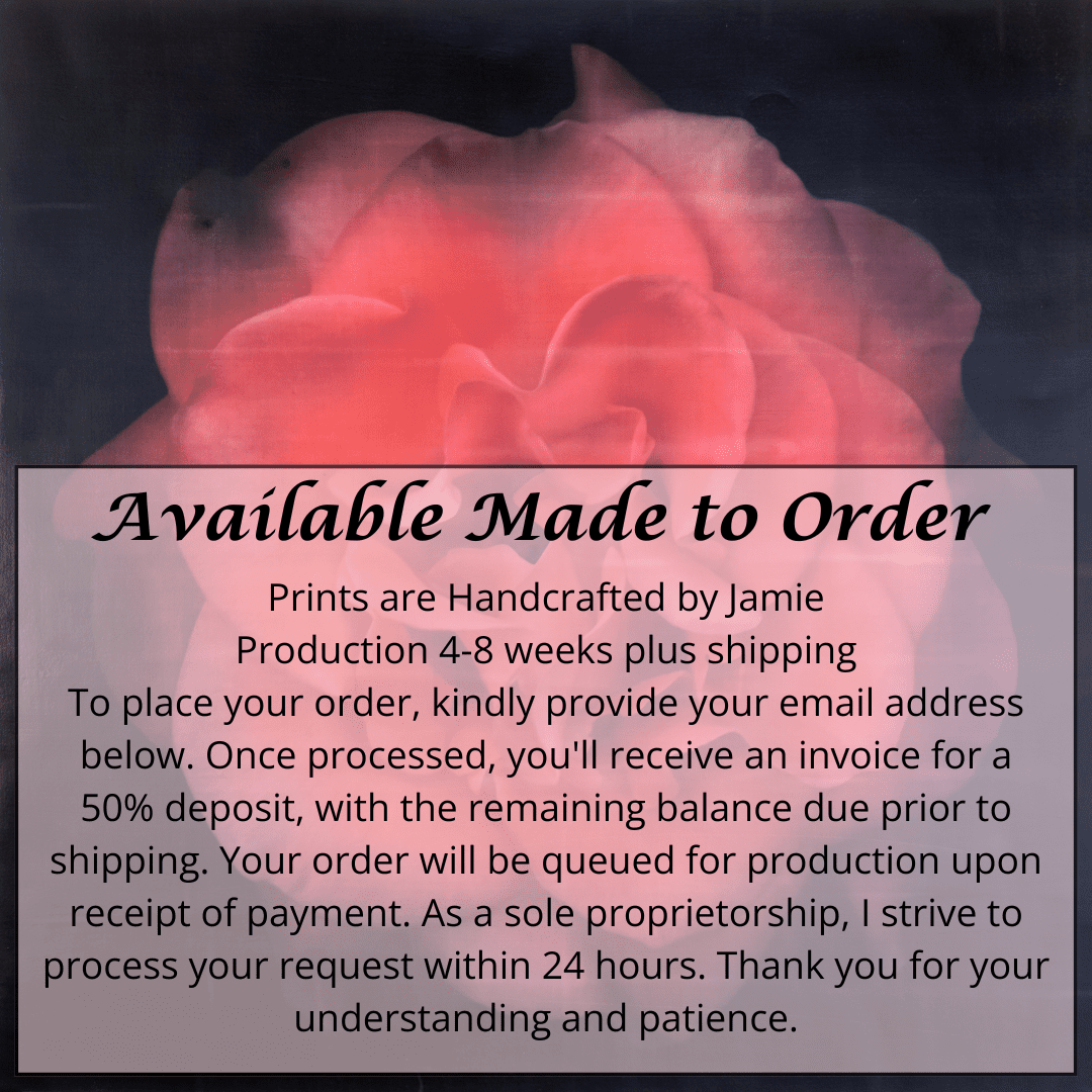 Flower Print of Red Rose with golden highlights round and spherical reflexed petals opened in a rosette style Centered in Square mode on black background wall art