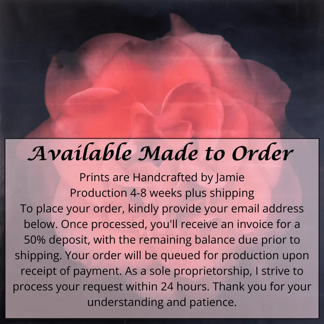 Flower Print of Red Rose with golden highlights round and spherical reflexed petals opened in a rosette style Centered in Square mode on black background wall art