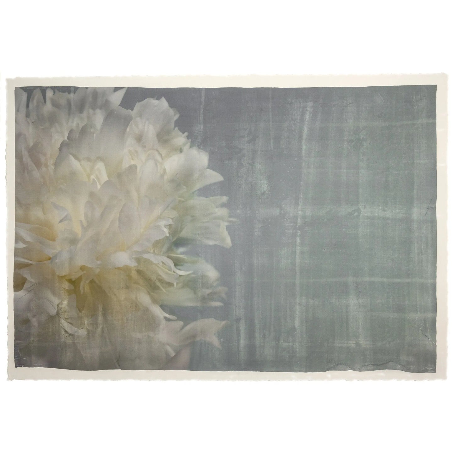 White Peony 15 in Blue Jamie Buzill