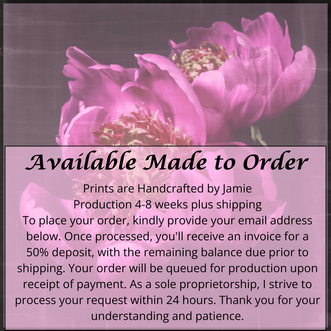 Fine art pink peony orignial emulsion print - jamie buzil