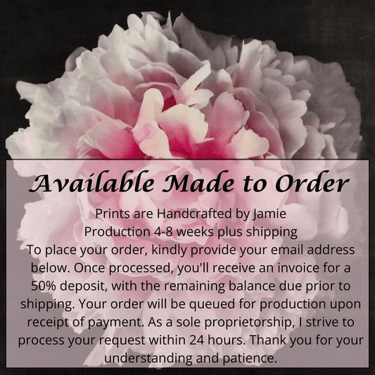 Fine Art Pink rose peony emulsion print with gold and pearl iridescence on cotton paper - jamie buzil photography