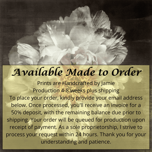 Fine Art White Peony 2 emulsion print showcasing delicate flower with gold and pearl iridescence on cotton paper - jamie buzil photography
