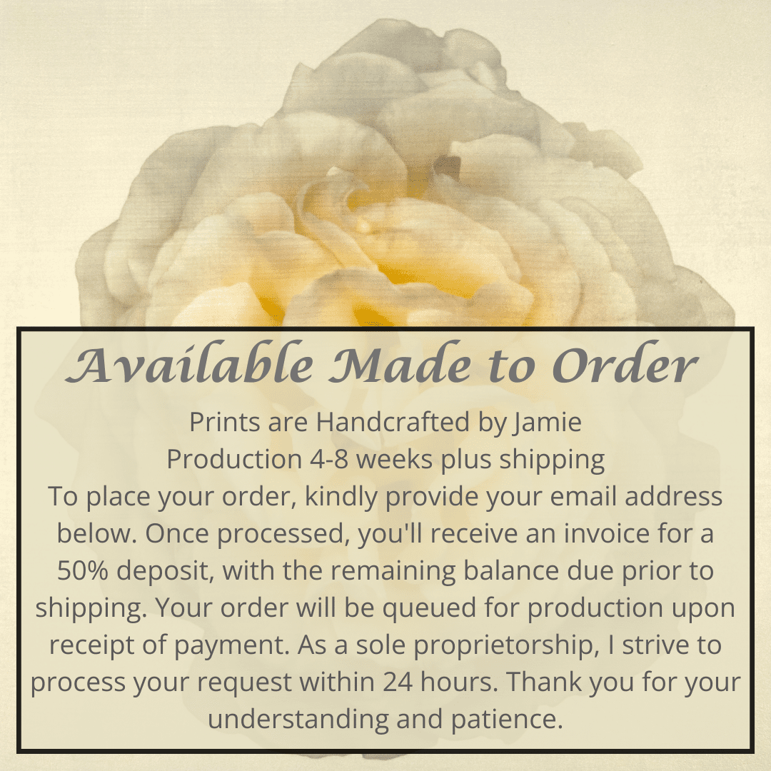 Fine-art-flower-yellow-rose-orginal-emulsion-print-jamie-buzil