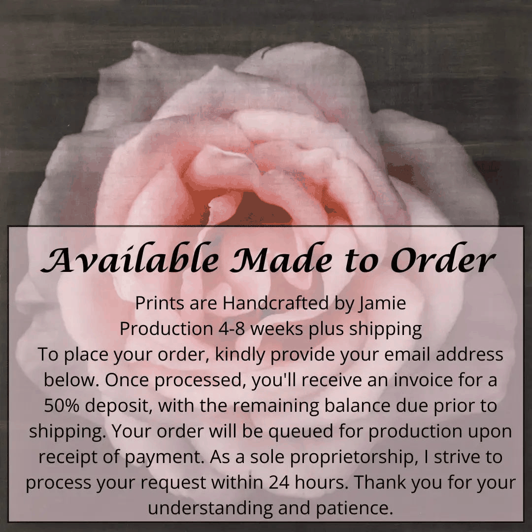 Pink Rose fine art handmade flower print with pale pink double blooming reflex petals curling outwards centered in Square mode, black background, wall art