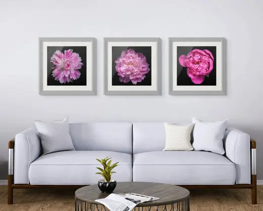 flower photography wall art