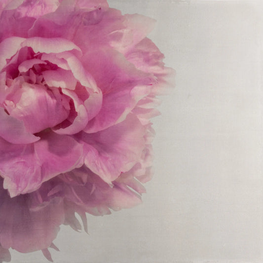 pink peony artistic print positioned to the left with empty space