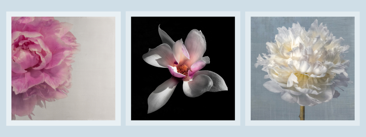 The Ultimate Guide to Buying Fine Art Flower Photography Prints Online in 2026