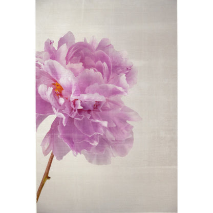 Print of Pink Peony for sale handcrafted from a photograph of a flower with delicate pink petals with silvery edges standing offset on the left, grey background, wall art