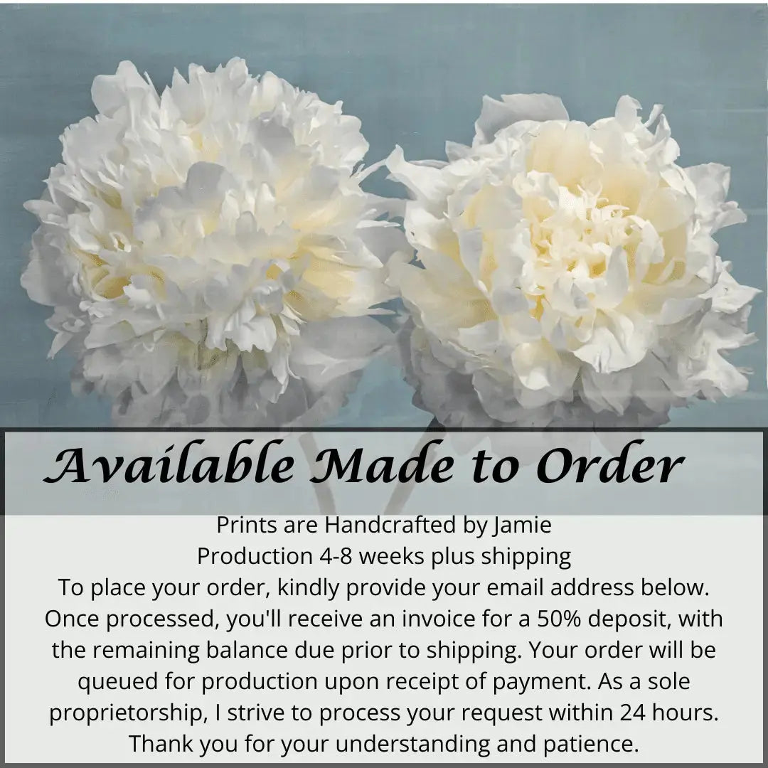 Fine Art handmade Flower print of two full white blooming peony with yellow highlights facing side by side on blue background
