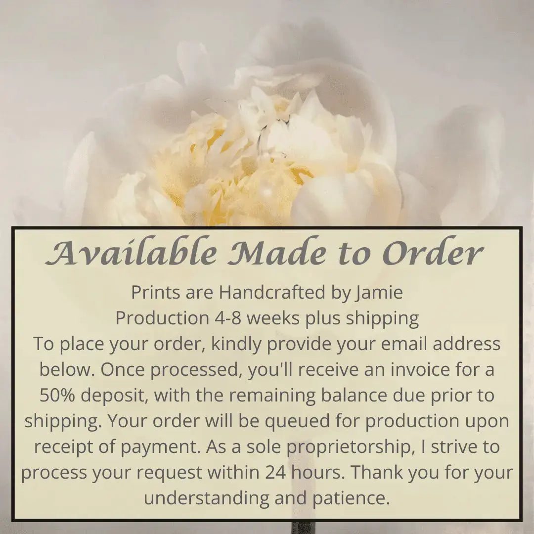 White Peony Flower photograph print on grey background, close up in square format
