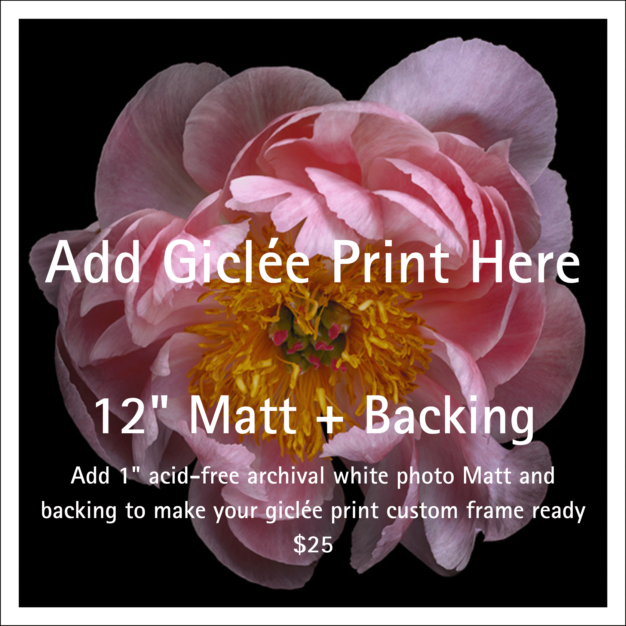 White acid-free photo mat for 8" giclee prints with 1-inch border and 12-1/4” outer dimension