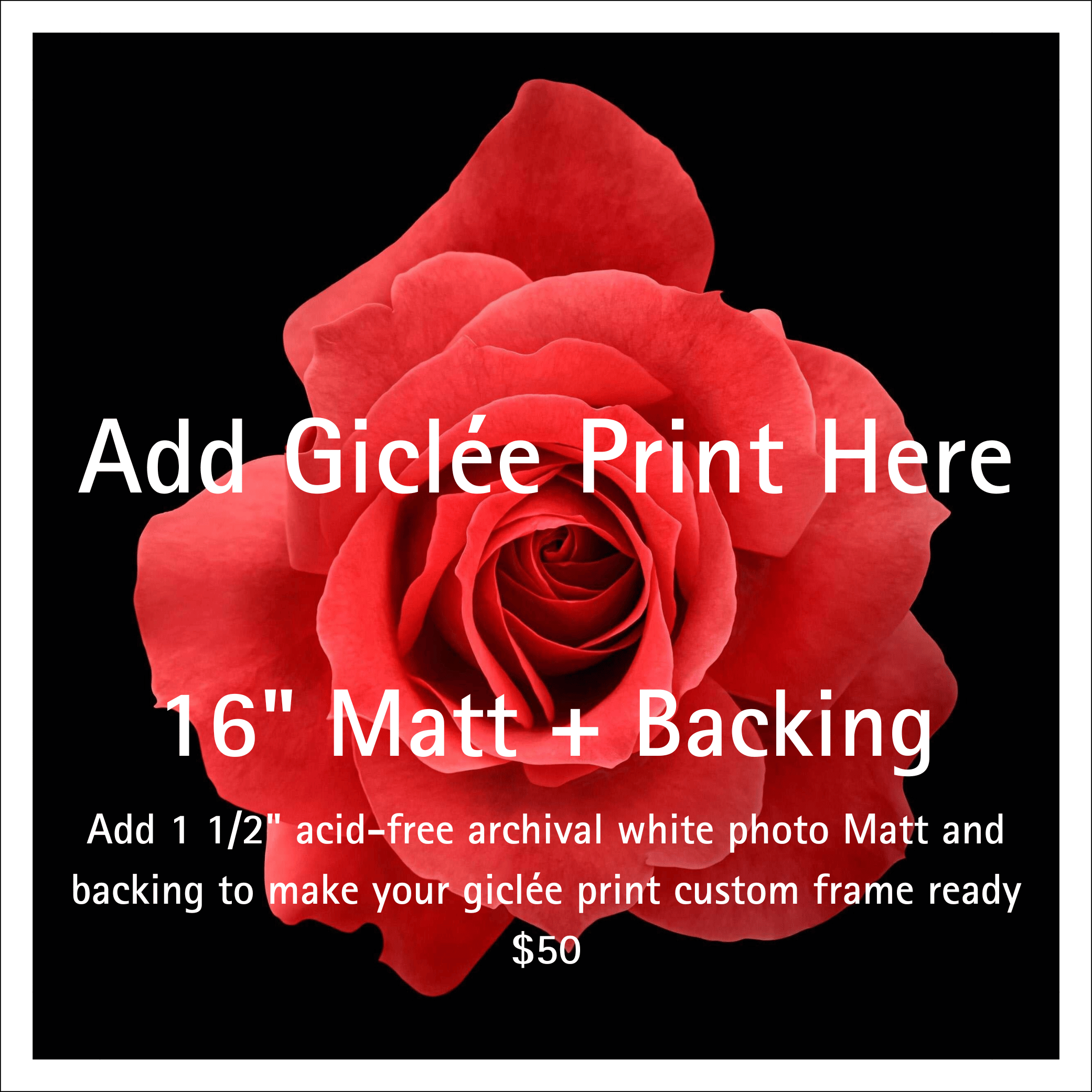 Acid free white matt photo mat with 1.5 inch border for 16 inch giclee prints