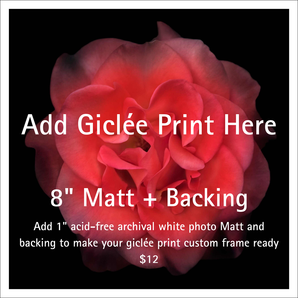 White acid-free photo mat for 8" giclee prints with 1-inch border and 12-1/4” outer dimension