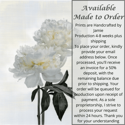fine art white peony original emulsion print - jamie buzil