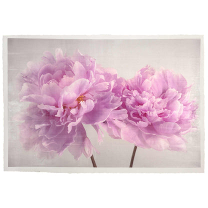 Fine art pink peony original print - emulsion transfer process - jamie buzil