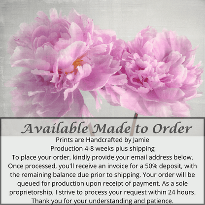 Fine art pink peony original print - emulsion transfer process - jamie buzil