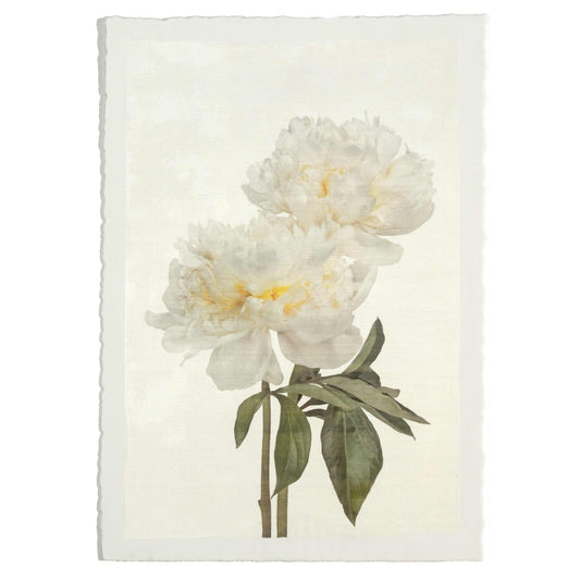 fine art white peony original emulsion print - jamie buzil