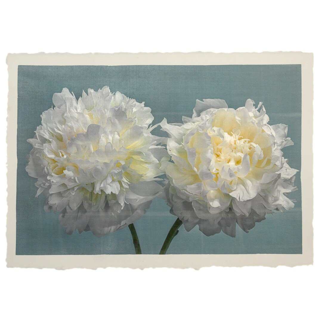 Fine art white peony print on blue - original emulsion lift - jamie buzil