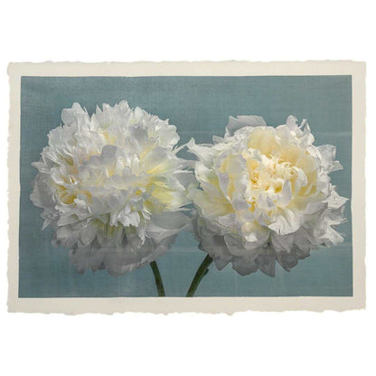 Fine art white peony print on blue - original emulsion lift - jamie buzil