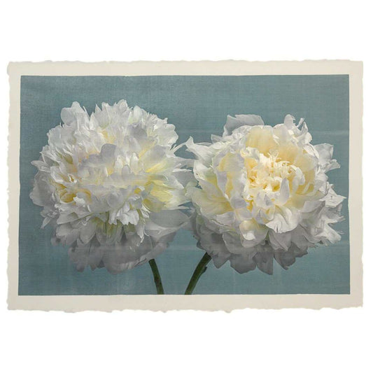 Fine art white peony print on blue - original emulsion lift - jamie buzil