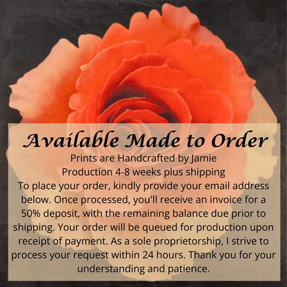 Fine art flower orignial print of vibrant deep orange rose in prime bloom with spiral center surrounded by looser yellowing ruffled petals . Centered in Square mode, black background - jamie buzil photography