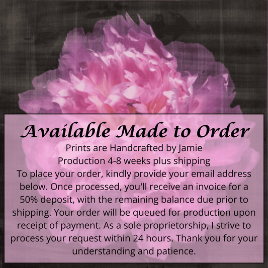 Fine art handmade emulsion photograph print pink peony 17 on cotton paper - jamie buzil photography