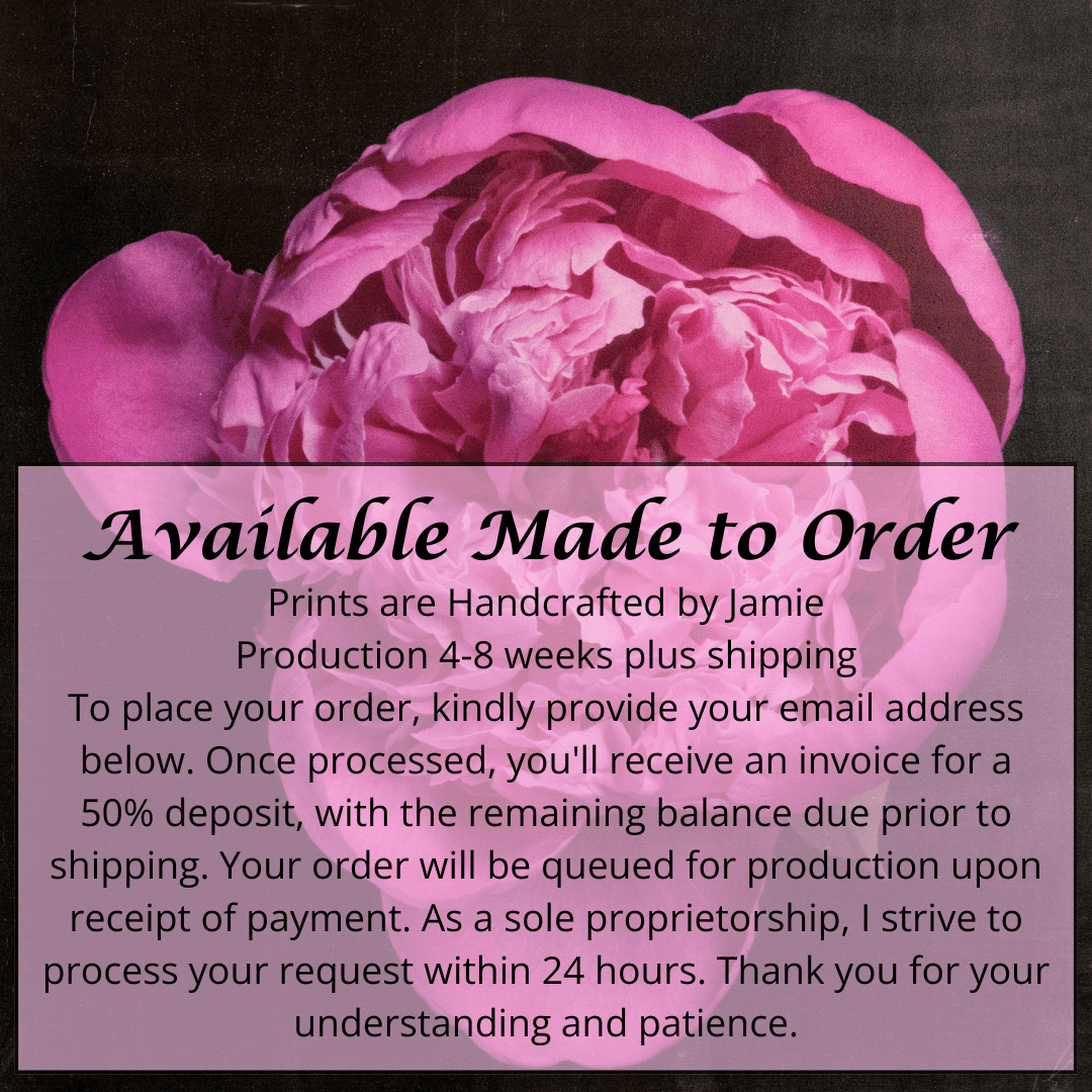 Fine art handmade flower print of  magenta double blooming pink peony 6 partially closed inner petals witht fluttering open outer petals -with gold and pearl iridescence on cotton paper-Centered in Square mode-black background-jamie buzil photography