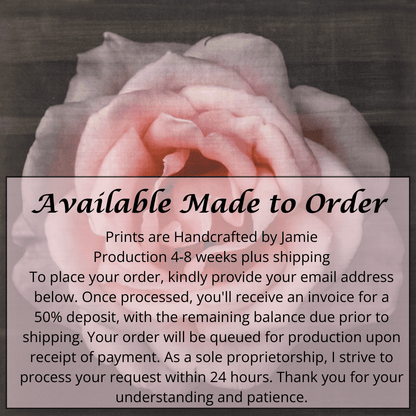 Pink Rose fine art handmade flower print with pale pink double blooming centered in Square mode, black background - jamie buzil photography
