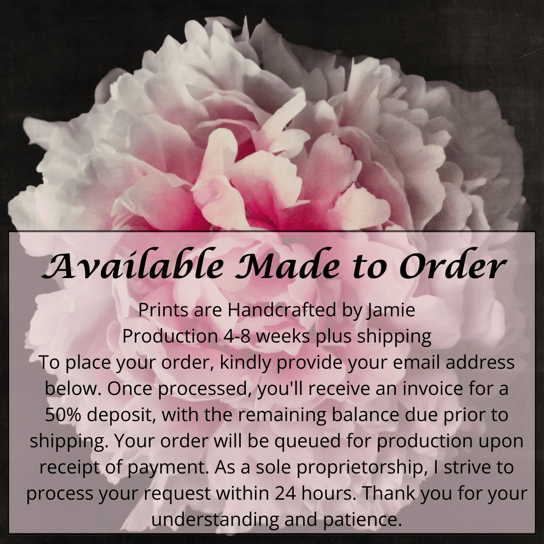 Fine Art Pink rose peony emulsion print with gold and pearl iridescence on cotton paper - jamie buzil photography